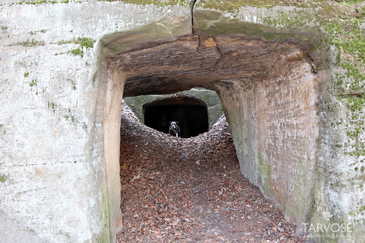 výlet se psem český ráj hynšta 1