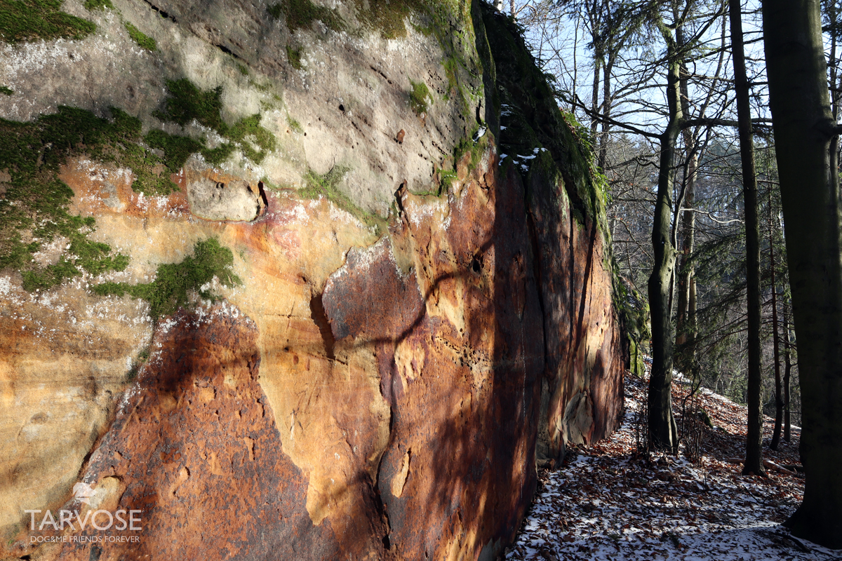 výletování se psem hynšta