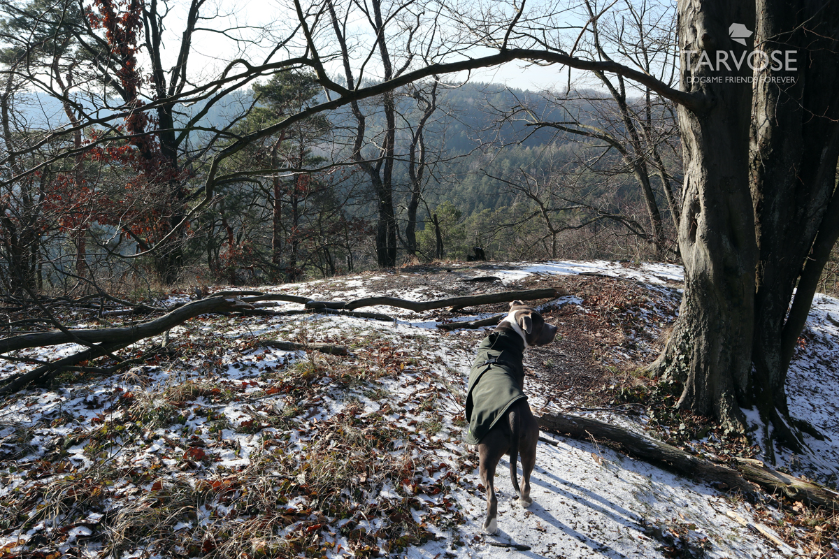 výlet se psem český ráj hynšta 3