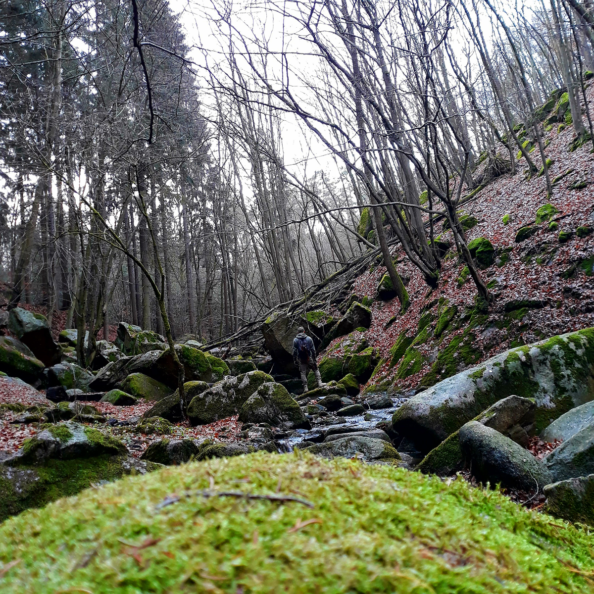 výletování se psem