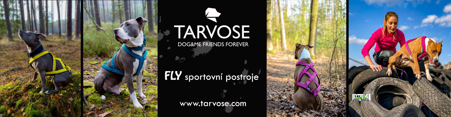 Fly sportovní postroje