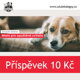 Dárek: Příspěvek na útulek 10 Kč