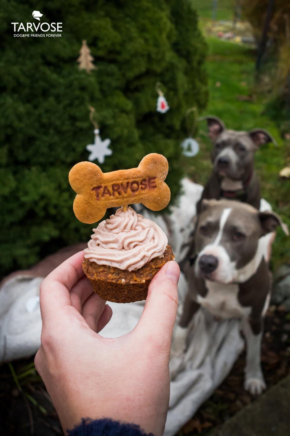 Tarvos pupcake