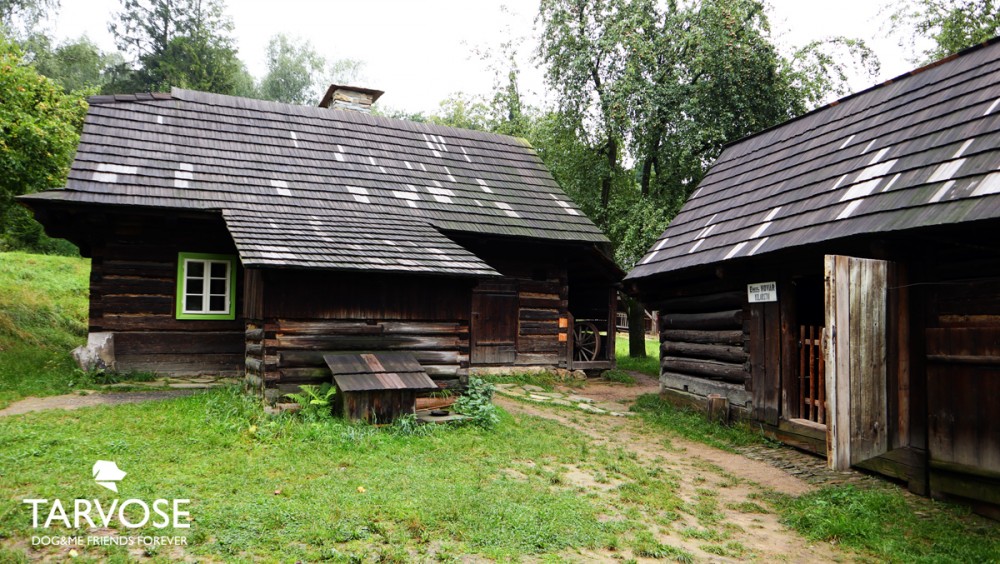 Dovolená Beskydy se psem