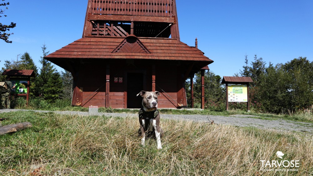 Dovolená Beskydy se psem