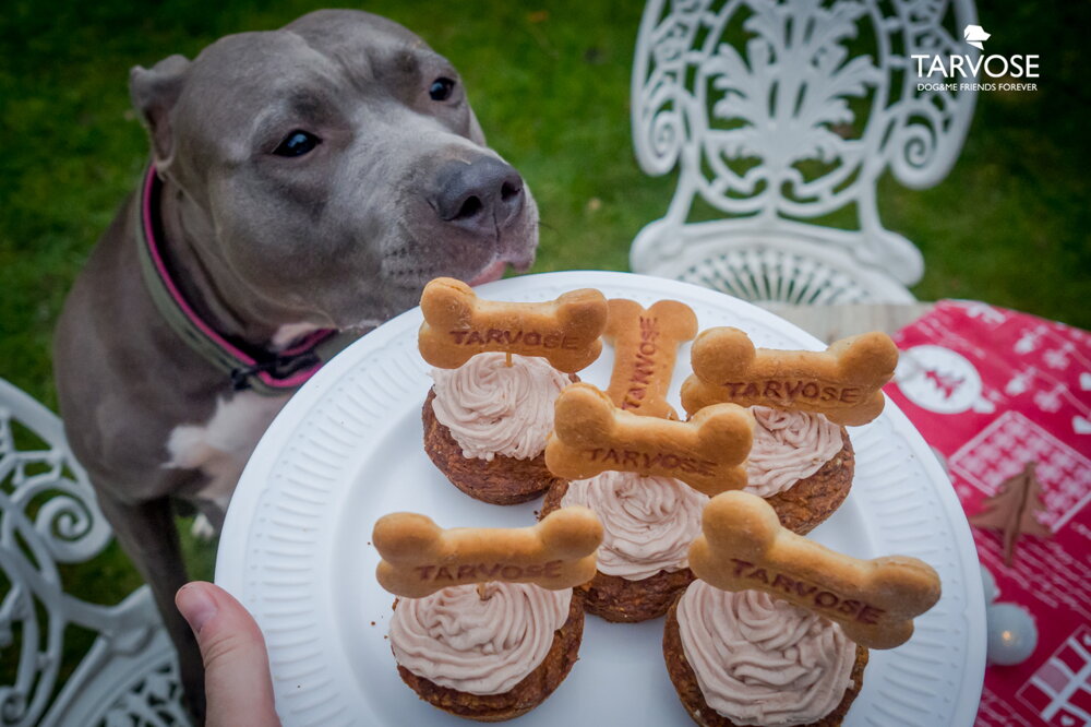 Tarvos pupcake