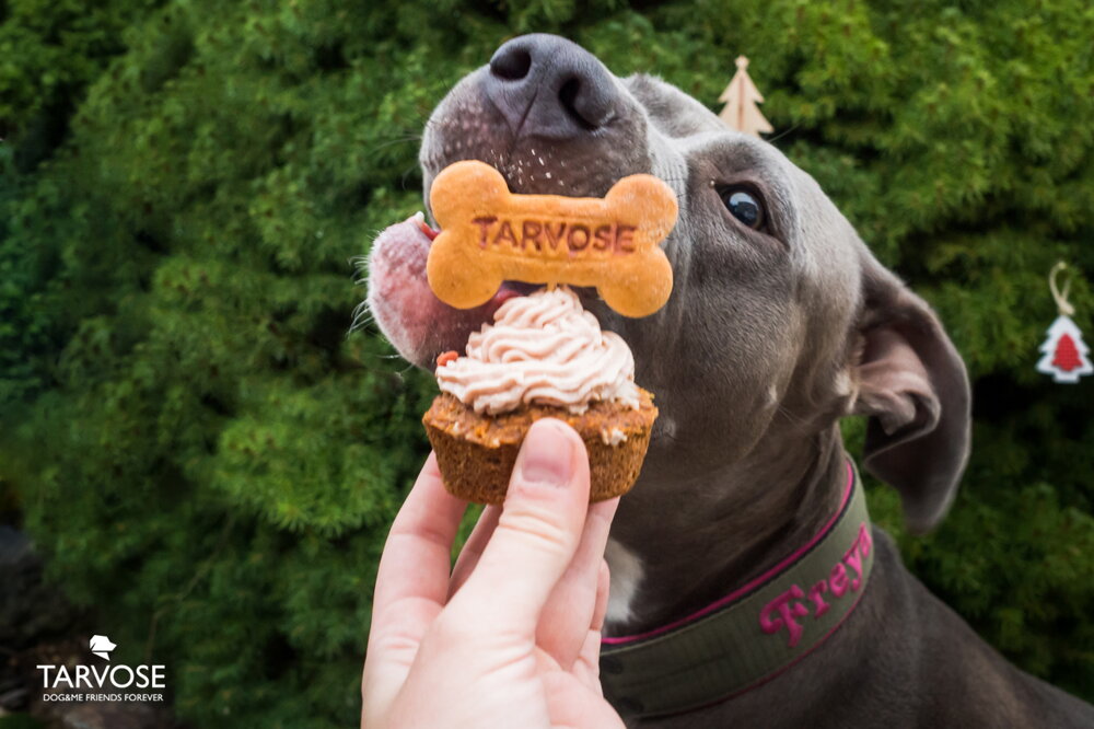 Tarvos pupcake