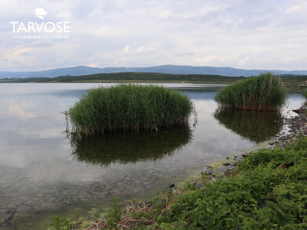 výlet se psem, jezero milada