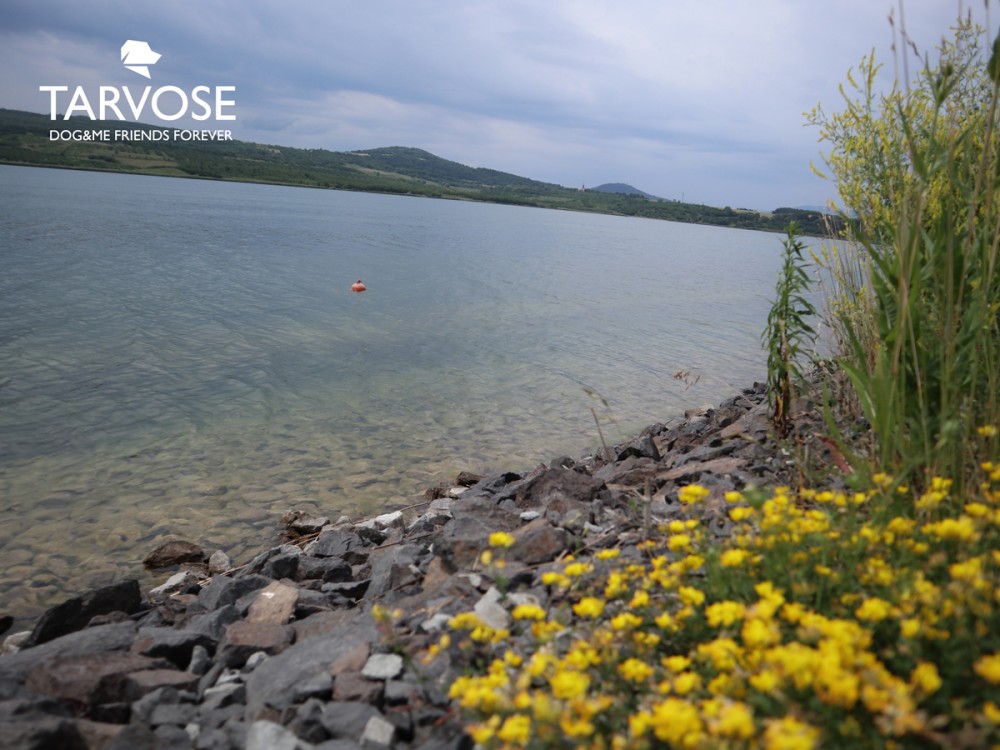 výlet se psem, jezero milada