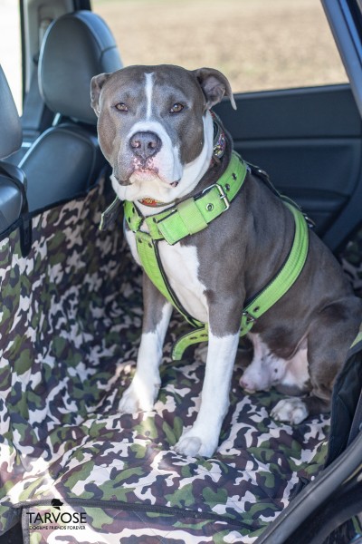 luxusní deka do auta pro psy tarvose
