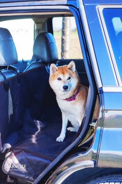 luxusní ochranná deka do auta pro psa