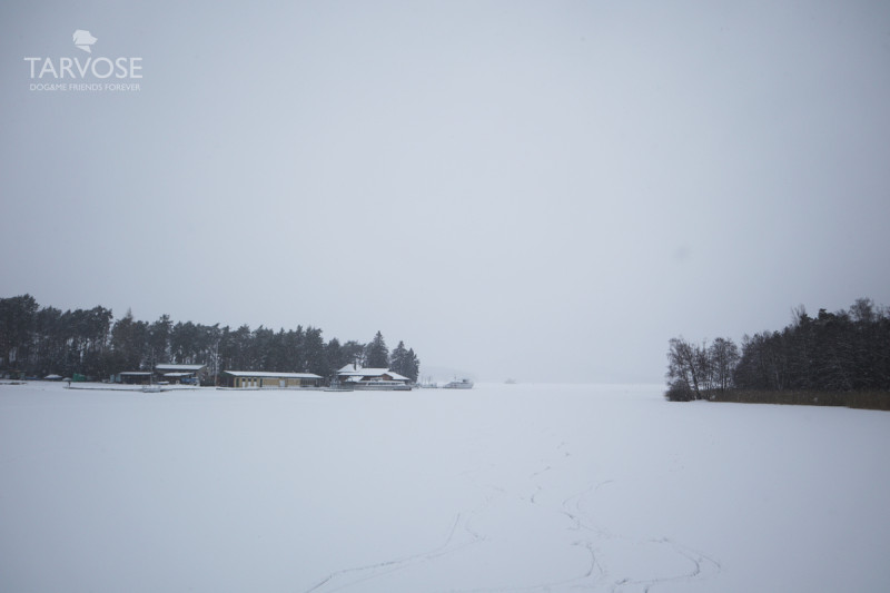 Máchovo jezero v zimě