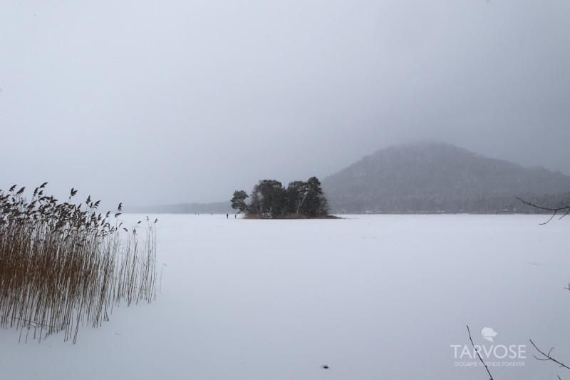 Máchovo jezero v zimě