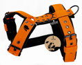 Orange Tarvose postroj 4 cm šíře - oranžová, obvod do 82cm, SKLADEM