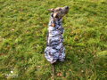 Army gray psí pláštěnka Tarvose - maskáč šedý