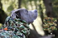 Army psí pláštěnka Tarvose - maskáč