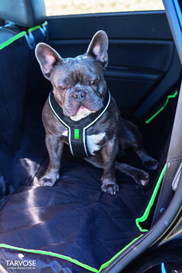 Smaragd Tarvose kvalitní ochranná deka do auta pro psy - černo/zelená