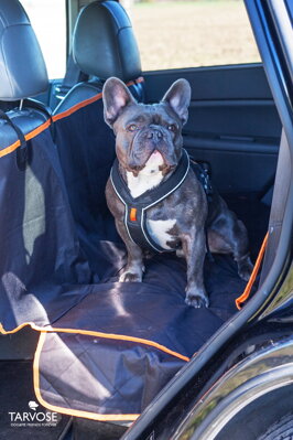 Orange Tarvose kvalitní ochranná deka do auta pro psy - černo/oranžová