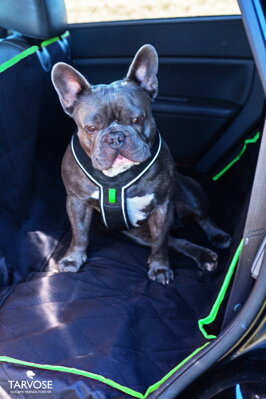Kvalitní ochranná deka do auta pro psy - černá/zelená