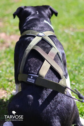 Olive FLY sportovní postroj Tarvose - olivová