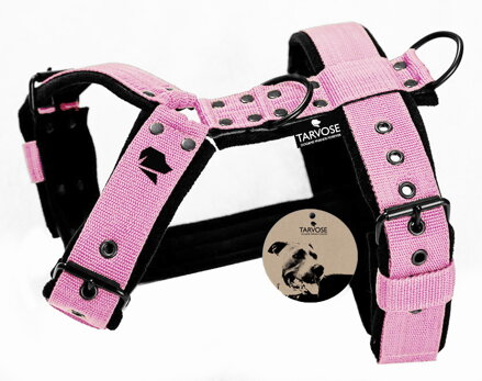 Rose Tarvose postroj 4 cm šíře - sv.růžová, obvod do 70cm, SKLADEM