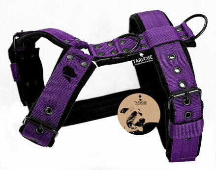 Violet Tarvose postroj 4 cm šíře - fialová, obvod do 70 cm, SKLADEM