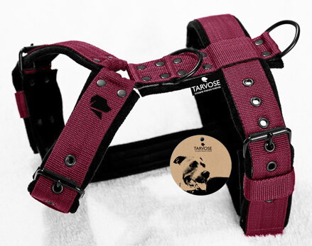 Cherry Tarvose postroj 3 cm šíře - vínová, obvod do 60cm, SKLADEM