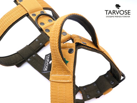 Cream Tarvose postroj s uchem NEREZ, šíře 4 cm obvod hrudníku max. 76cm, SKLADEM