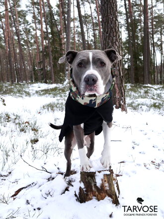 Zimní obleček Tarvose - černý vel. S pozor světle béžové lemování, pes skladem 