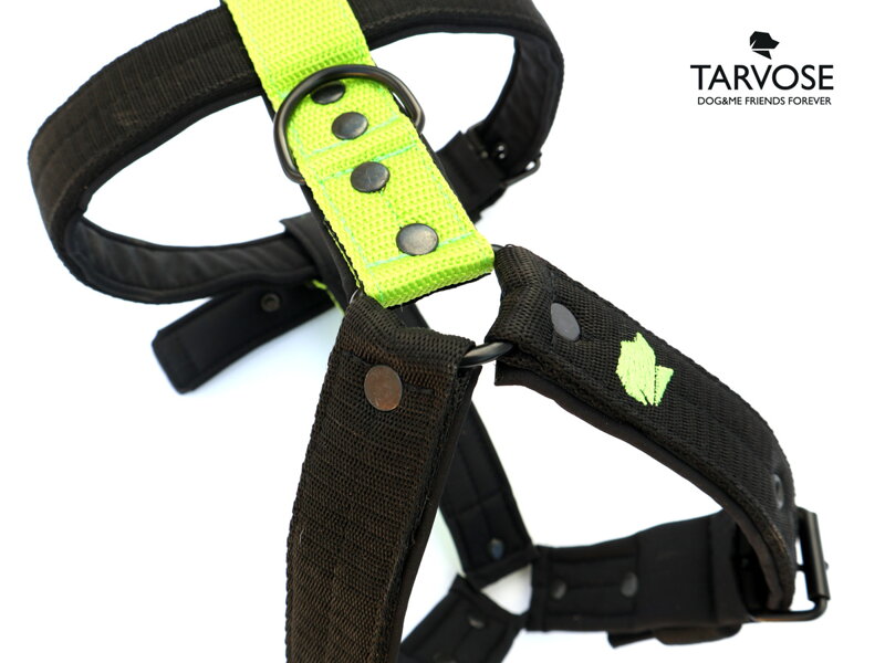 Black/Lime Tarvose postroj 3 cm šíře - černá/zelená, SKLADEM Black/Lime Tarvose postroj 3 cm šíře - černá/zelená, SKLADEM