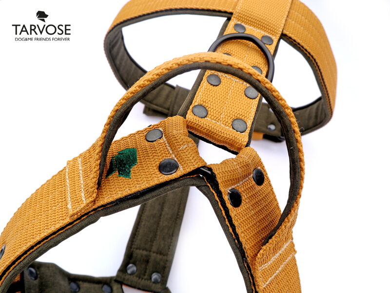 Cream Tarvose postroj s uchem NEREZ, šíře 4 cm obvod hrudníku max. 76cm, SKLADEM