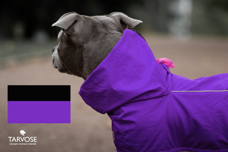 Violet/black psí pláštěnka Tarvose - fialovo/černá