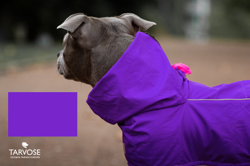 Violet psí pláštěnka Tarvose - fialová