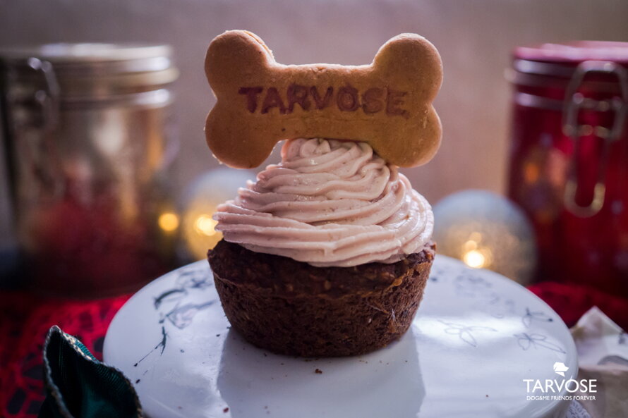 Vánoční dárek - Tarvosův Pupcakes 